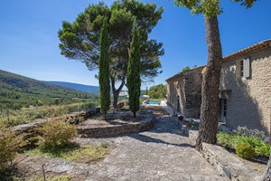 The Painted Terrace image 3