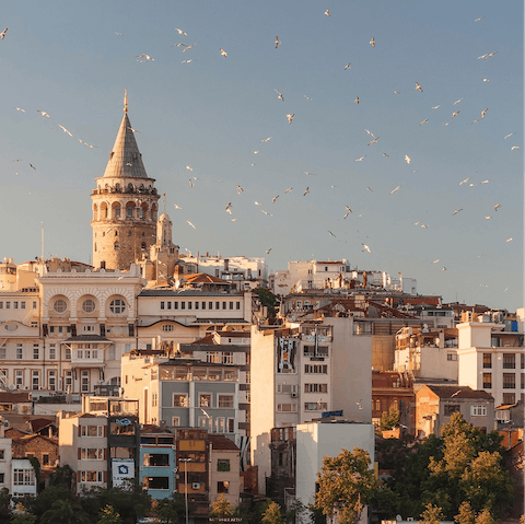 Visit the city of Istanbul, within a forty–minute drive away