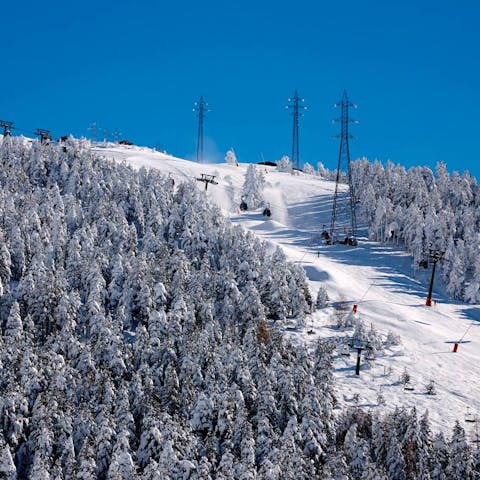 Enjoy the ski runs of a world-class ski resort