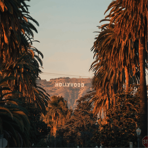 Explore this larger-than-life Hollywood location
