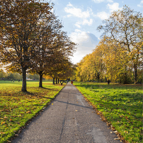 Take an autumnal stroll through the nearby Hyde Park