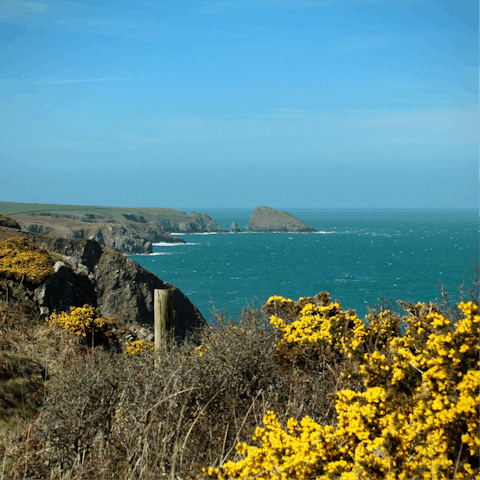 Head out to explore the Pembrokeshire Coast