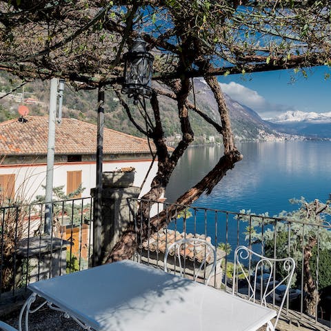 Dine at the wrought-iron table and chairs beneath the grapevines