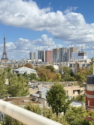 The Light in Paris image 8