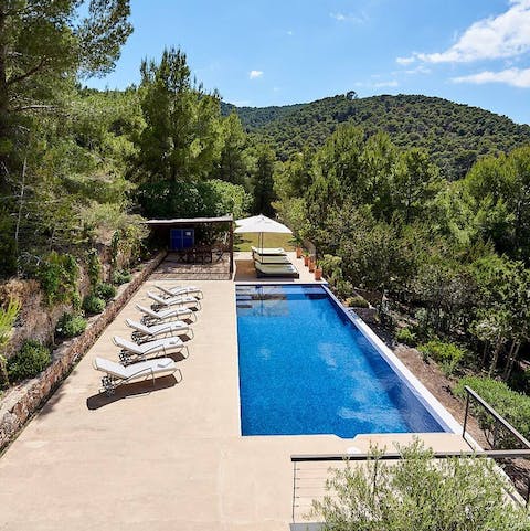 Lounge on the pool terrace amidst the luscious Mediterranean pines 