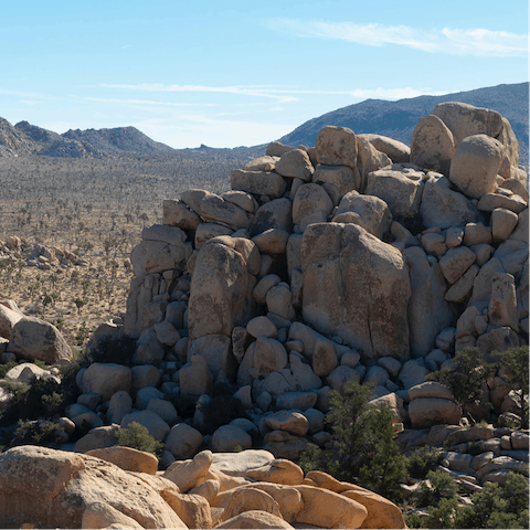 Visit Joshua Tree National Park, a thirty-minute drive away