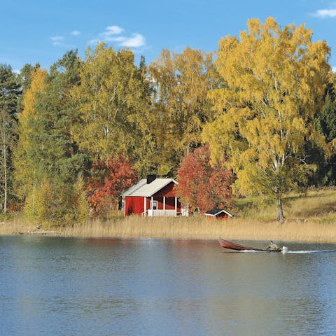 Explore the beautiful forests of Sonkajärvi, right on your doorstep