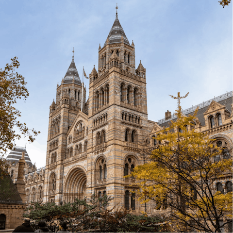 Explore South Kensington's world-class museums – the Natural History Museum is a thirteen-minute stroll from your door