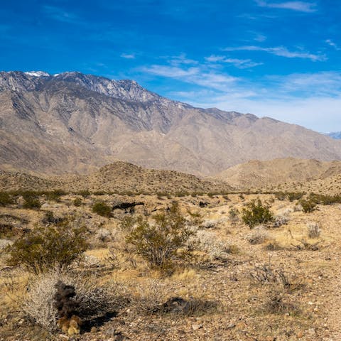 Drive to the sublime Indian Canyons in under half an hour