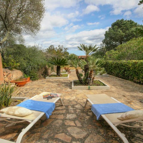 Soak up some sun amidst the Mediterranean plants in the garden