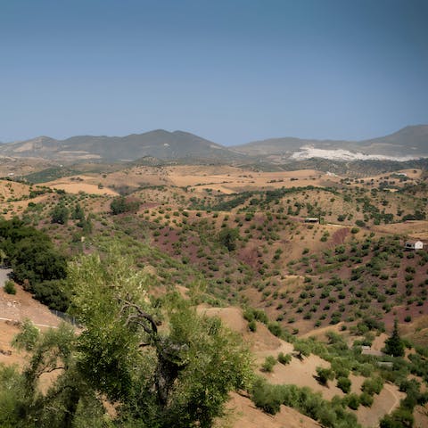 Explore the sprawling  Andalusian countryside, right on your doorstep