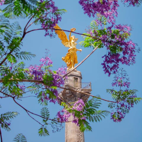 Visit Mexico City's Angel of Independence