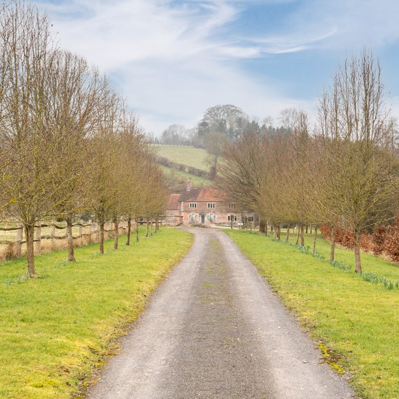 Go for leisurely strolls around the private and peaceful grounds