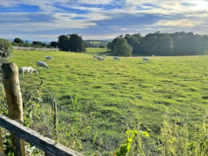 Casterton Gardens image 2
