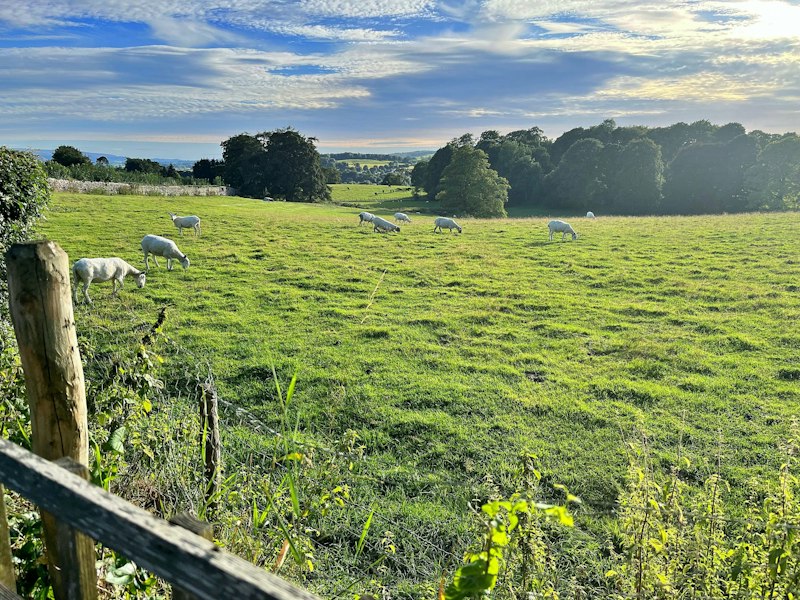 Casterton Gardens additional image