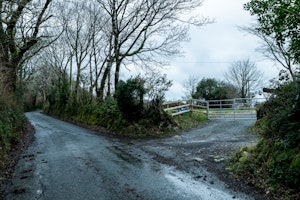 Wild Angels image 3