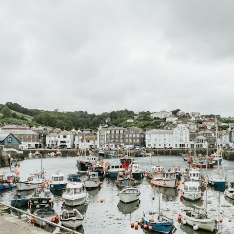 Explore Mevagissey's picturesque fishing harbour and charming narrow lanes   