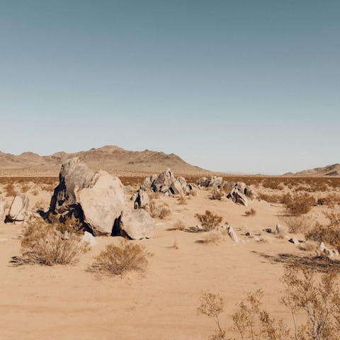 Experience the mystical beauty of Joshua Tree National Park