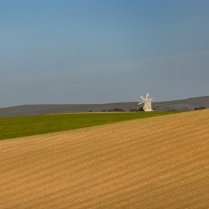 The Grain Store image 11