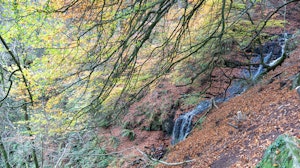 Wye Valley View image 12