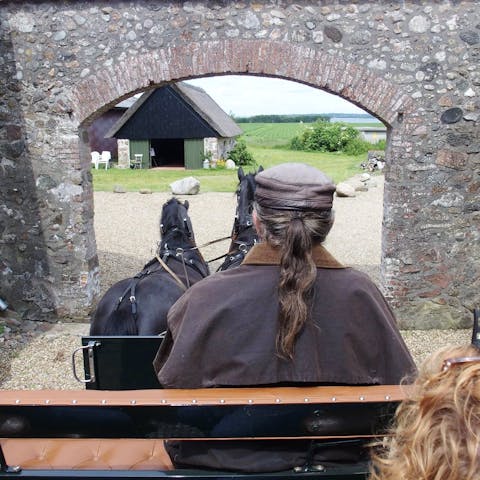 Explore your surroundings from the back of a horse-drawn wagon 