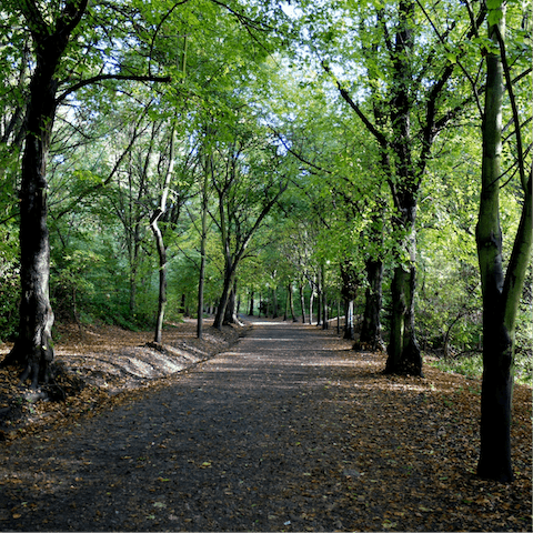 Hop on the overground for twenty-six minutes to reach lush Hampstead Heath