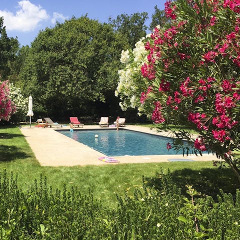 The pool is set within the wild greenery of the garden