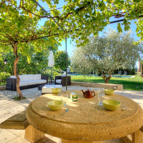 Have an al fresco lunch with your family