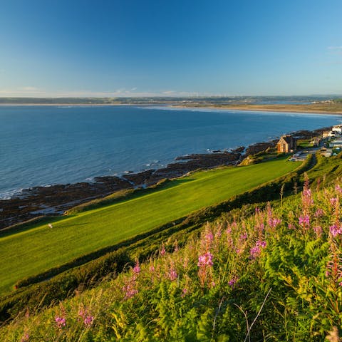 Take a scenic stroll along the Devon coast and spot a variety of wildlife