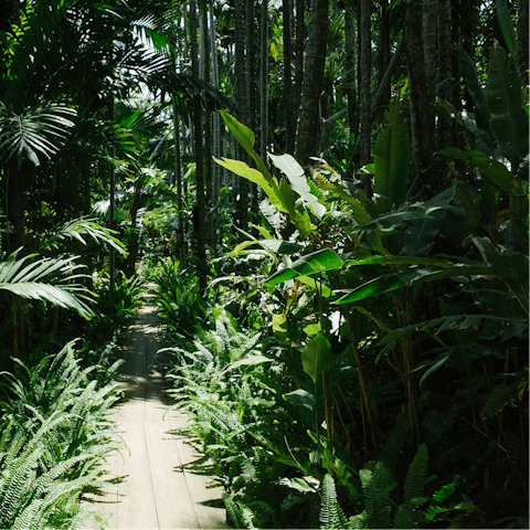 Enjoy the beautiful botanical gardens – reachable in just two minutes on foot