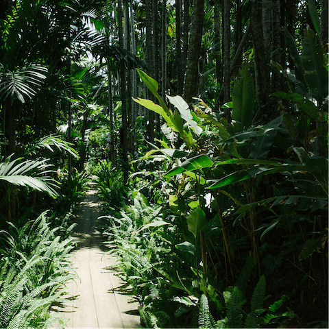 Enjoy the beautiful botanical gardens – reachable in just two minutes on foot