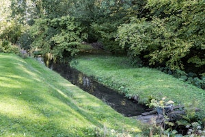 Millstream Muse image 3