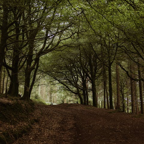 Discover the village of Holywell Lake, home to beautiful walking trails