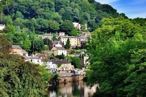 Dales Delight image 8