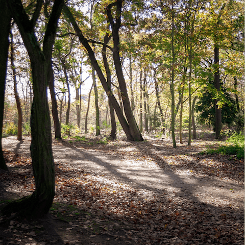 Lose yourself in the sprawling Bois de Boulogne, a twenty-minute walk from your front door