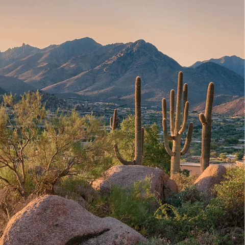 Hike through Arizona mountains, preserves, forests and parks