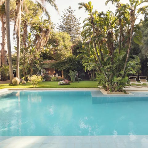 Take a dip in the private pool shaded by palm trees