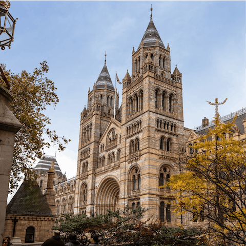 Explore the museums and galleries of South Kensington – a short walk away