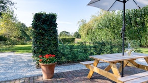Flower of Kent image 1