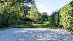 Flower of Kent image 13