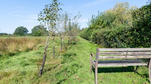 Flower of Kent image 3
