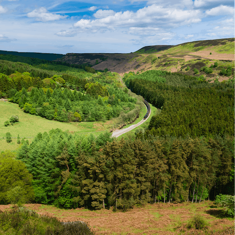 Swap the seaside for the country with a drive to the nearby North York Moors,