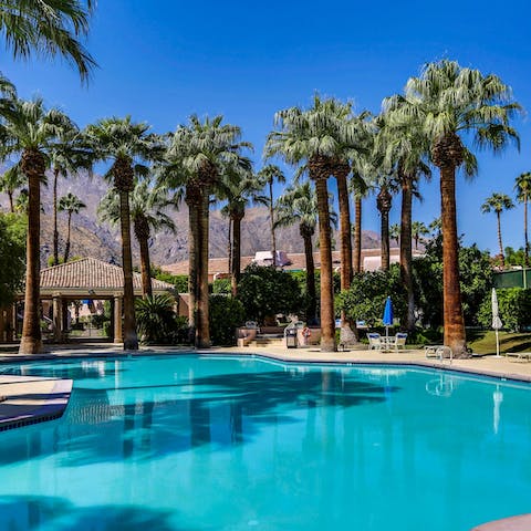 Take a refreshing dip in the complex's swimming pool surrounded by palm trees