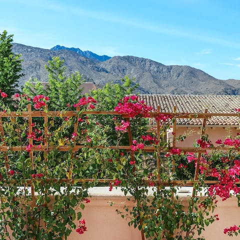 Enjoy gorgeous mountain views from the home's terrace
