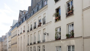 Napoleon's Neighbour image 10