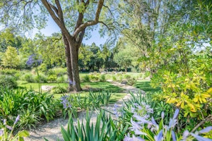 Elegant Lilac image 11