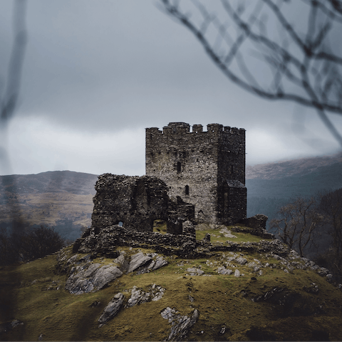 Take a trip to Dolwyddelan Castle, just a short hike from  home