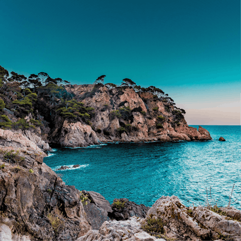 Drive along the coast to explore Marbella's amazing beaches