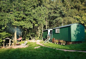 The Druid's Hut image 4
