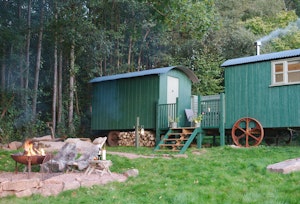 The Druid's Hut